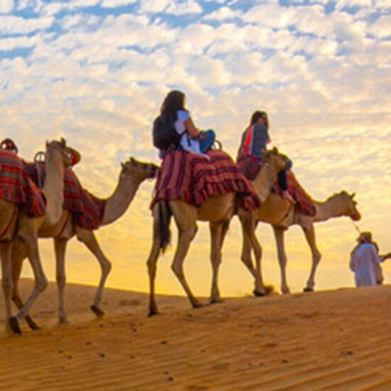 Riding Over Camel Abudhabi Desert Safari