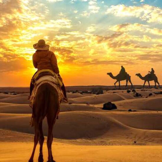 Sunset Desert Safari Camel Riding