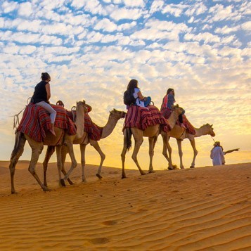morning desert safari in Dubai