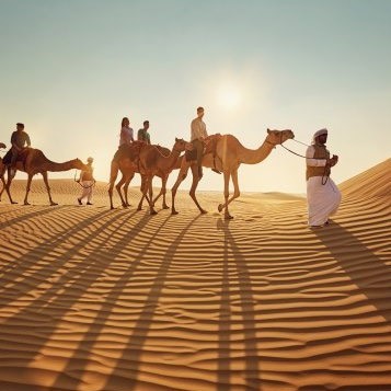 Sunset Camel Riding