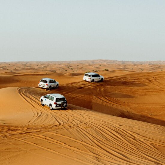 The Millennium Tours Dubai Desert Safaries