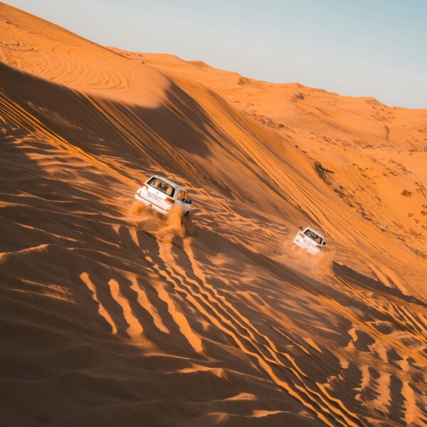Morning Desert Safari